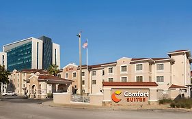 Comfort Suites Downtown Orlando Fl